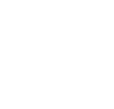 Google Premier Partner